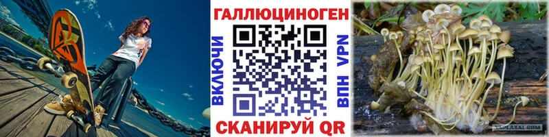 Псилоцибиновые грибы GOLDEN TEACHER  купить наркотик  Катайск 